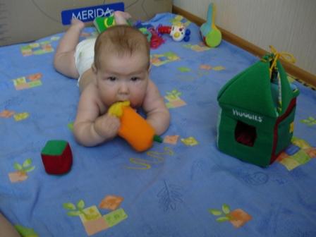домик от Хаггис